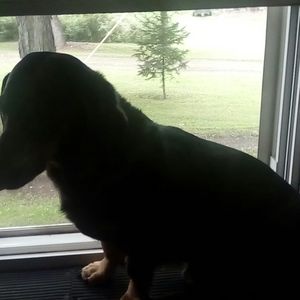 Meet your Posher, Lance